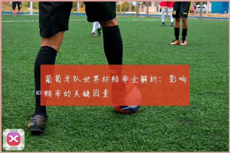 葡萄牙队世界杯赔率全解析：影响赔率的关键因素
